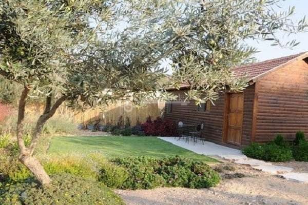 סוויטות הזית