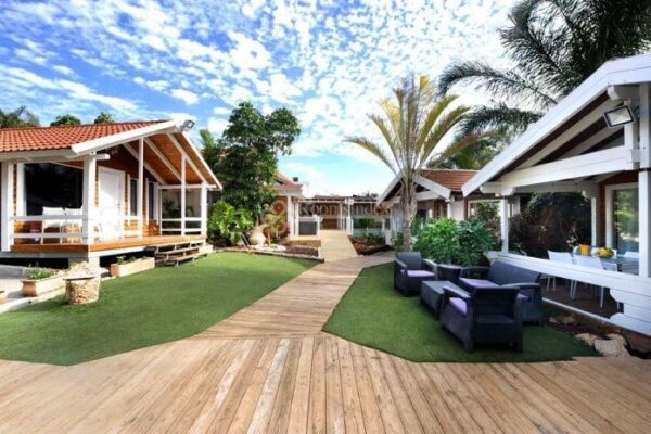 איילנד סוויט