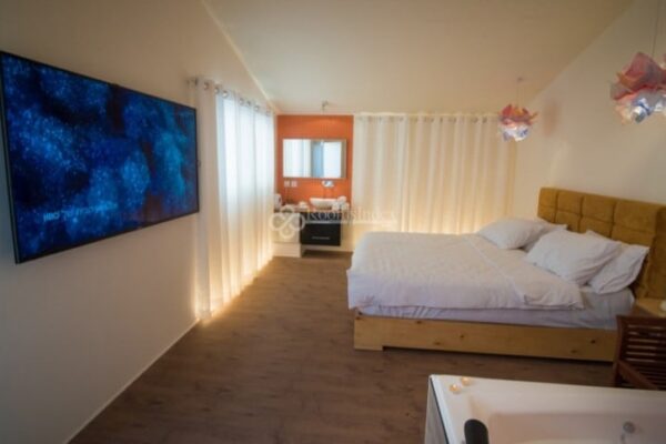 דרך הנרקיסים הצהובה