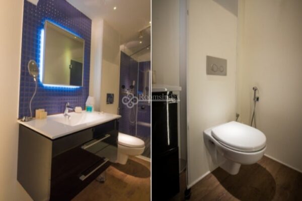 דרך הנרקיסים הצהובה