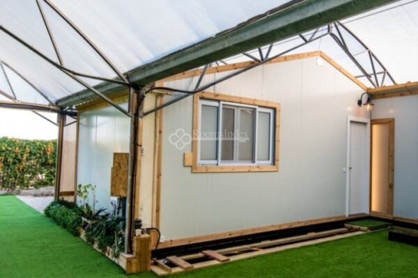 דרך הנרקיסים הצהובה