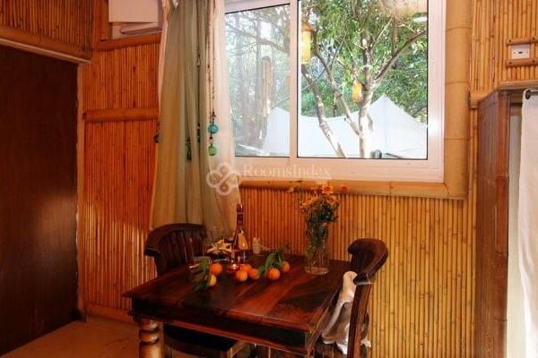 פינוק בפרדס