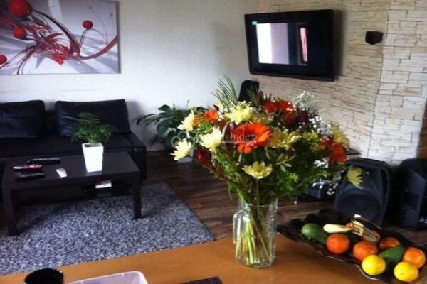 בוסתן הזית בנהריה