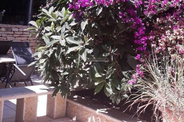 הפינה הנסתרת