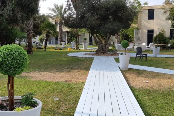 קיארה סוויט