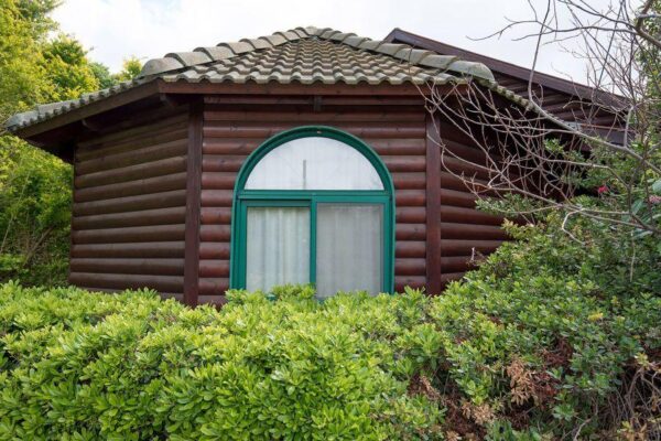 ניחוח האהבה