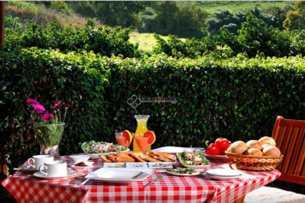 צבעים בגליל