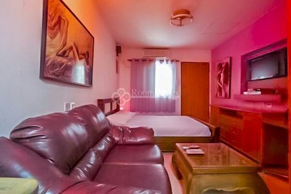 הצימר של שוקי