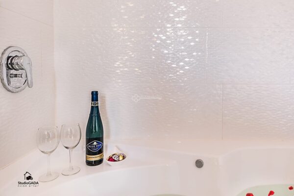 אהבה על שפת הכנרת