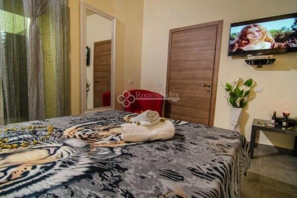 החדרים של קוקי