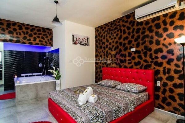 החדרים של קוקי