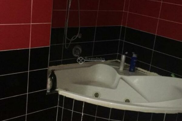 רועי סויטה מפוארת