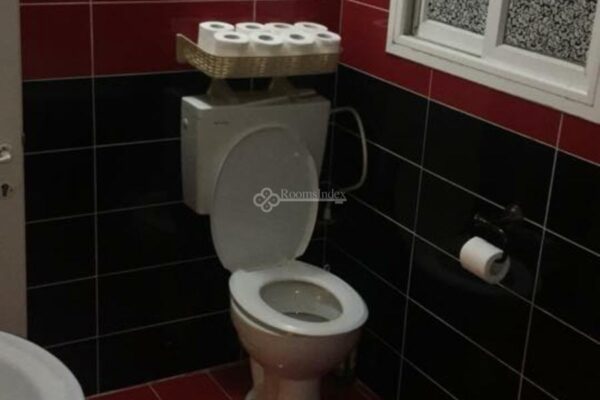 רועי סויטה מפוארת