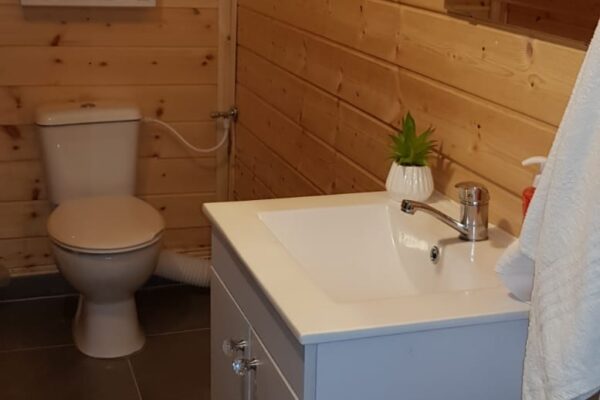 הבקתה בנס ציונה