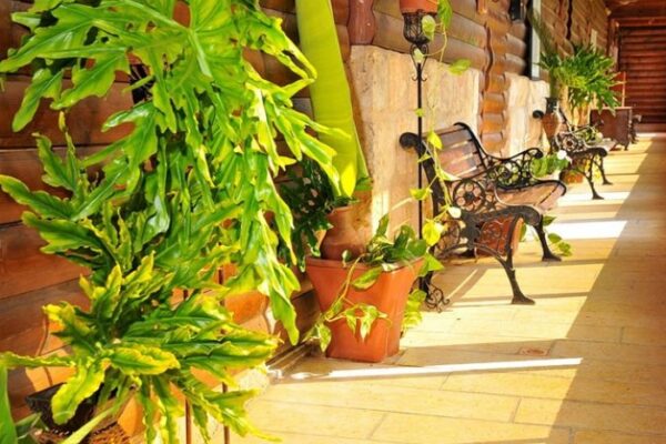 אחוזת ציפורי ספא ואירוח בגליל