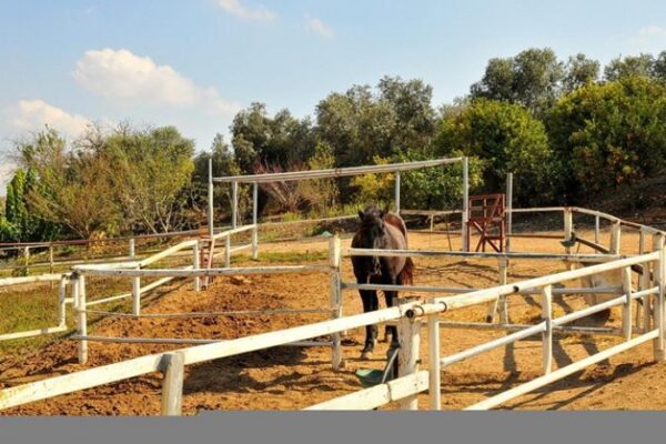 אחוזת ציפורי ספא ואירוח בגליל