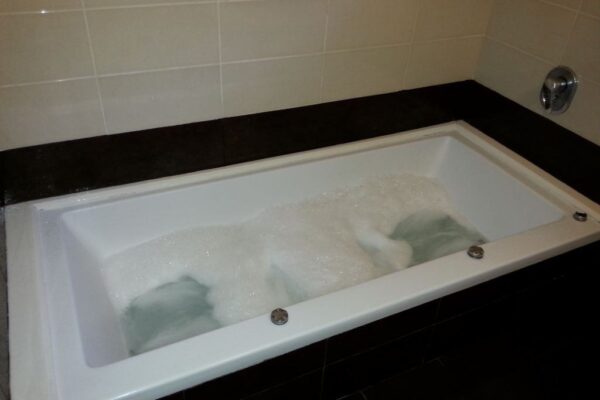 בין עצי הזית – מחלף לטרון