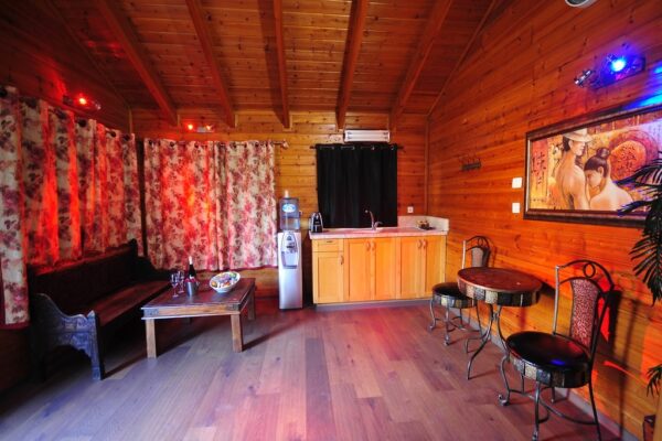 דרימס – DREAMS במצליח