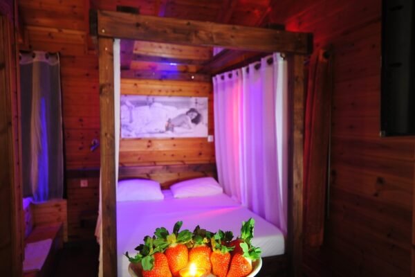 דרימס – DREAMS במצליח