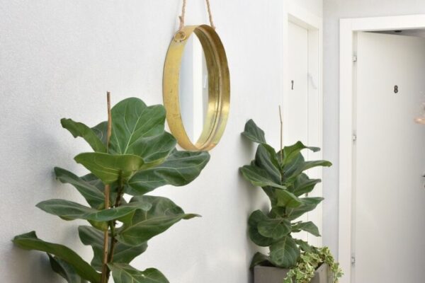 מלונית אם הדרך