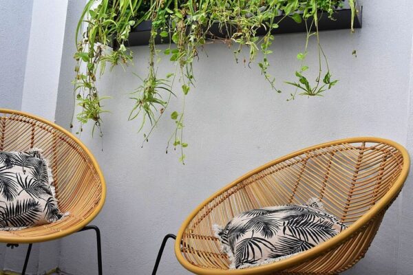 סוויטות אדוה