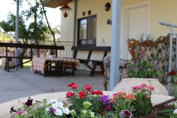 צימר לה פינקה בתל עדשים