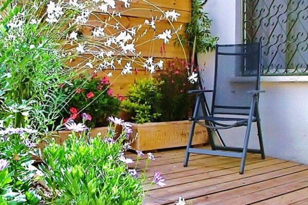 צימרייז ZIMMERISE