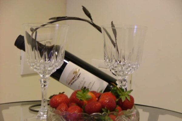 צימרייז ZIMMERISE