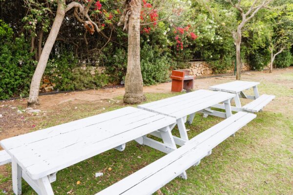 גולדן פלייס