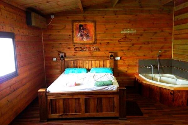 הבקתה המגניבה באקליפטוסים