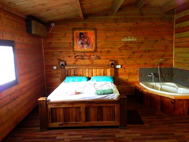 הבקתה המגניבה באקליפטוסים