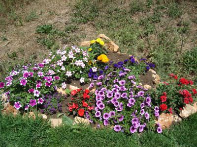 גן עדן בבוסתן הגליל