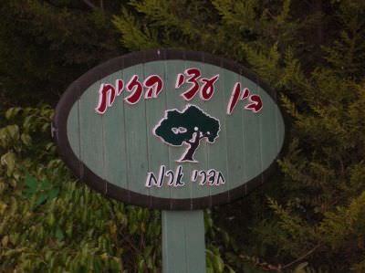 בין עצי הזית – מחלף לטרון