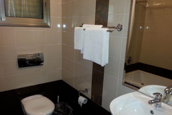 בין עצי הזית – מחלף לטרון