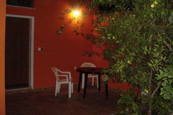 בין עצי הזית – מחלף לטרון