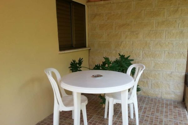 בין עצי הזית – מחלף לטרון