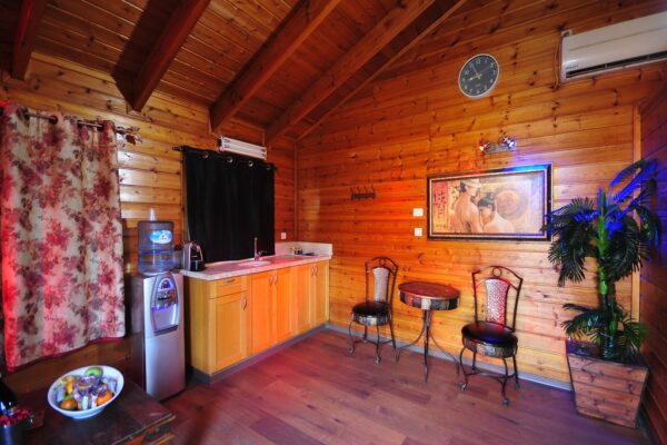 דרימס – DREAMS במצליח