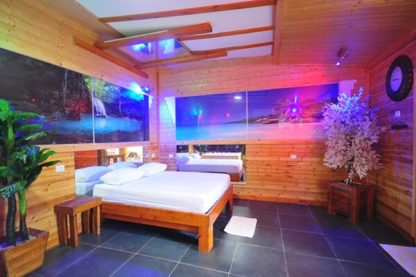 דרימס – DREAMS במצליח