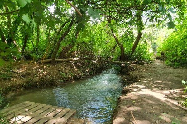 אהבה ליד הנחל