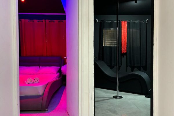 אמסטרדם בנוף הגליל