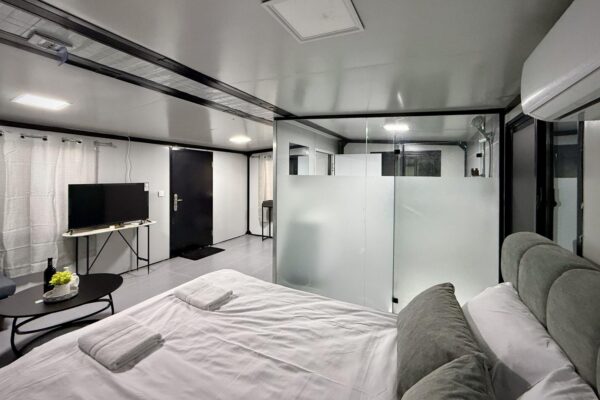 אקליפטוס בחורשה