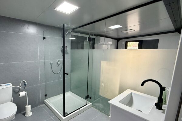 אקליפטוס בחורשה