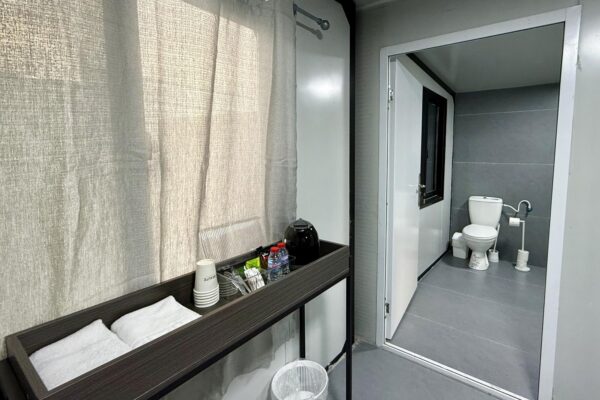 אקליפטוס בחורשה