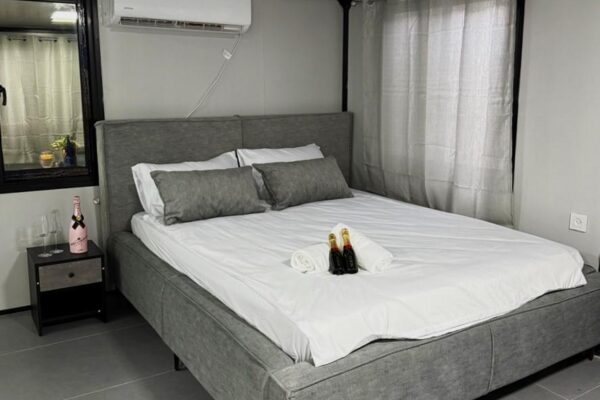 אקליפטוס בחורשה