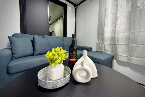 אקליפטוס בחורשה