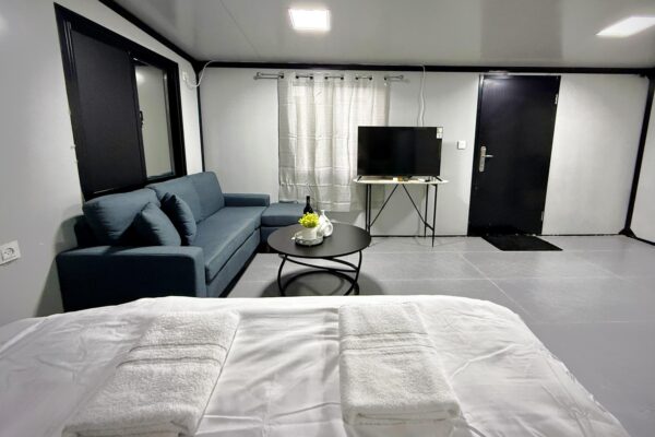 אקליפטוס בחורשה