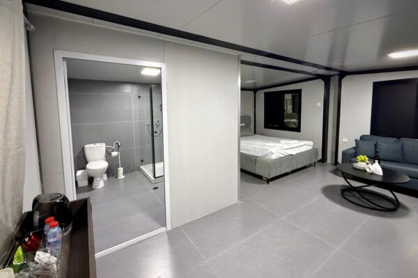 אקליפטוס בחורשה