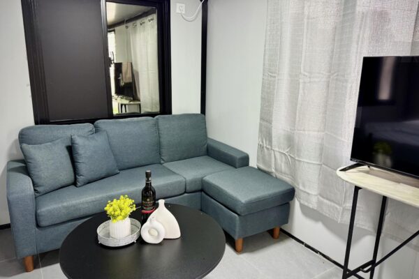 אקליפטוס בחורשה