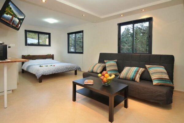 הפנינה הנסתרת