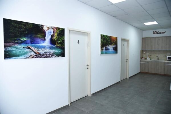 וירגו סוויט